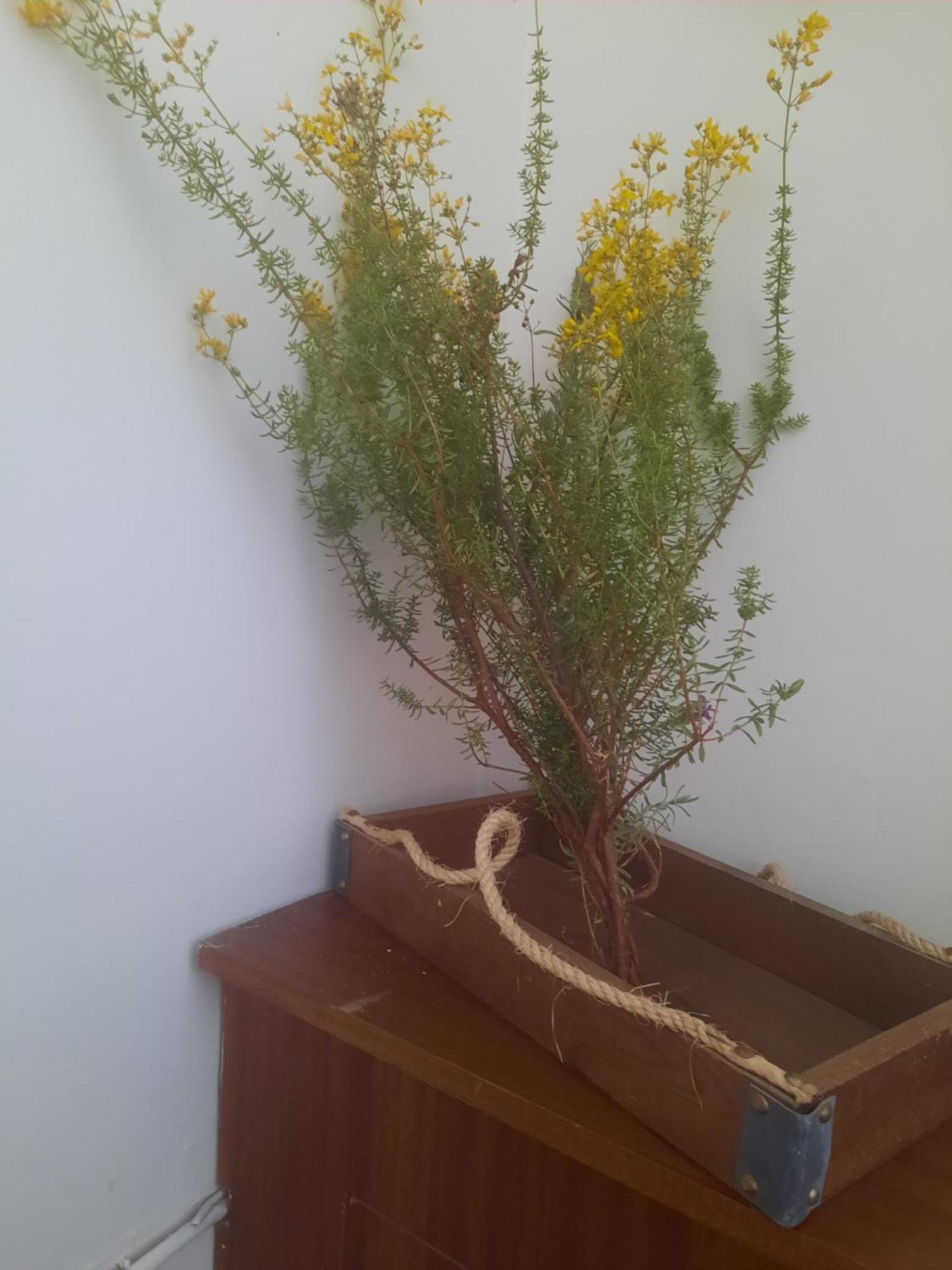 Panagioula Appartement