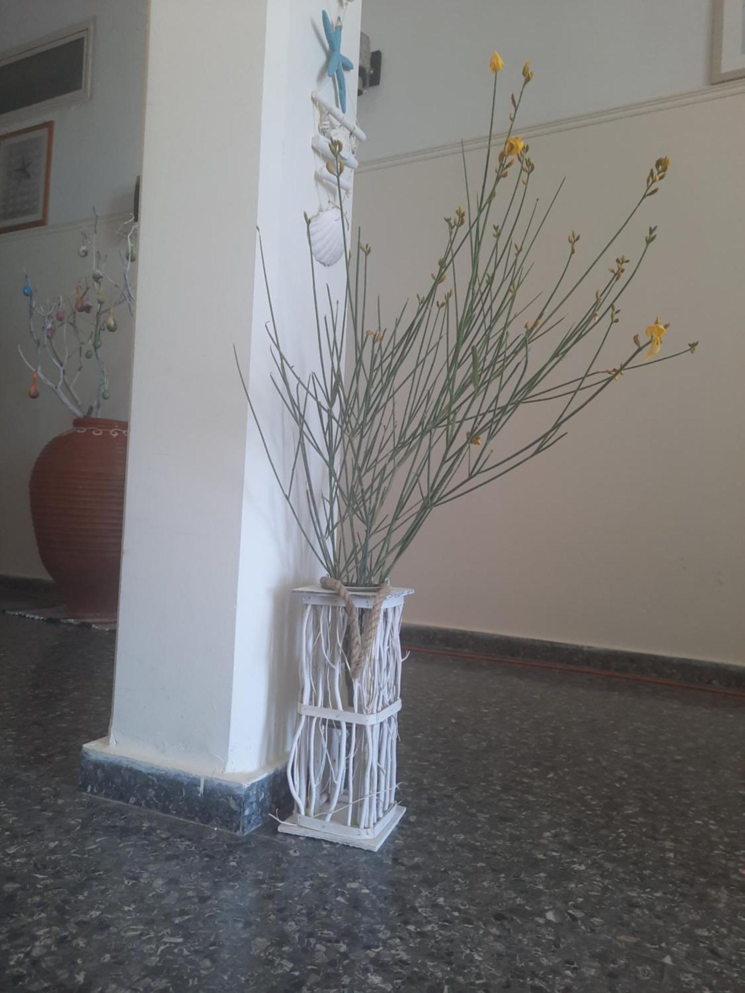 Appartement Panagioula *
